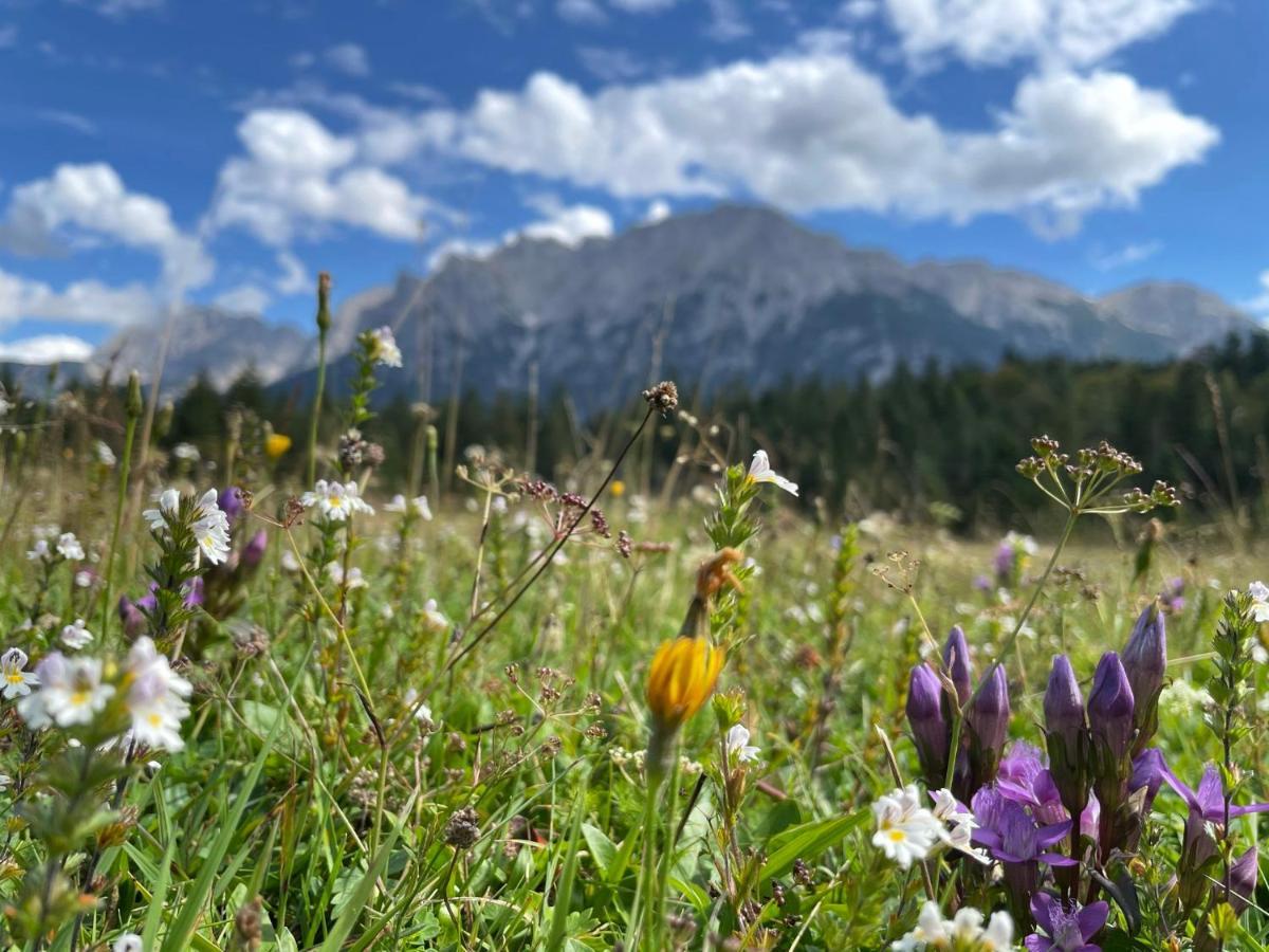 Suite Home Mittenwald Exteriör bild